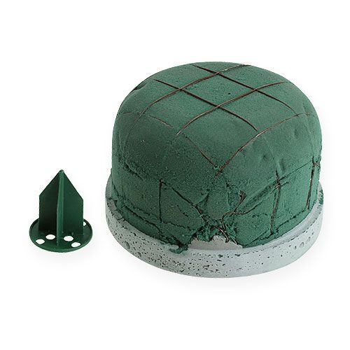 Floristik24 Mousse florale pour arrangement d'urne avec support grand Ø10,5cm 3pcs