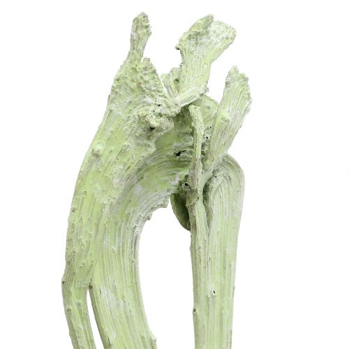 Article Natraj Mix vert pomme, blanchi à la chaux 10 pcs