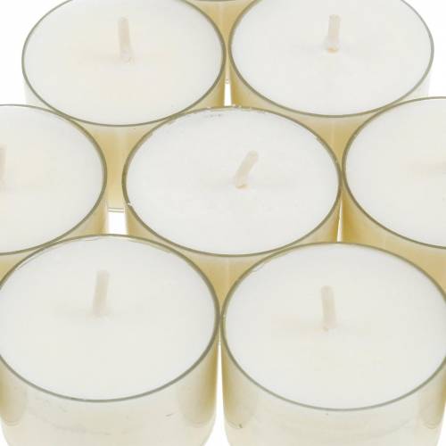 Floristik24 Bougies chauffe-plat PURE Nature Lights en cire de colza, durée de combustion naturelle 7 heures, 18 pièces