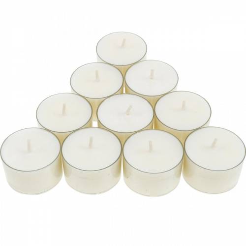 Floristik24 PURE Nature Lights bougies chauffe-plat cire de colza durée de combustion naturelle 7 heures 18pcs