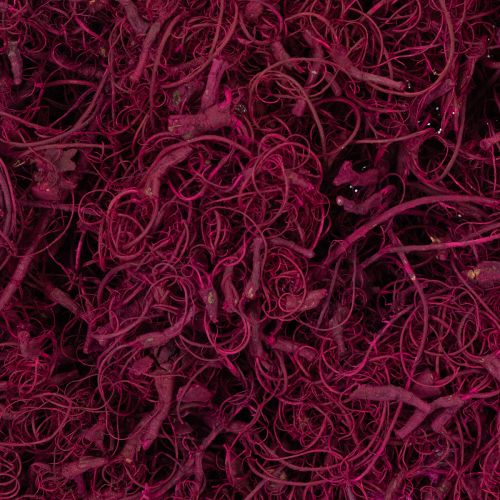 Article Fibres de tamarin naturelles pour loisirs créatifs, bordeaux, 500 g - Décoration, art floral, création