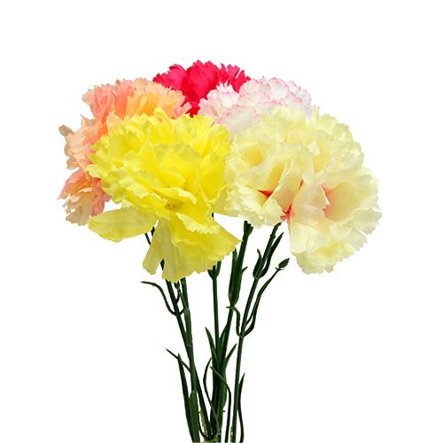 Floristik24 Oeillet couleurs assorties sur fil 72 pcs