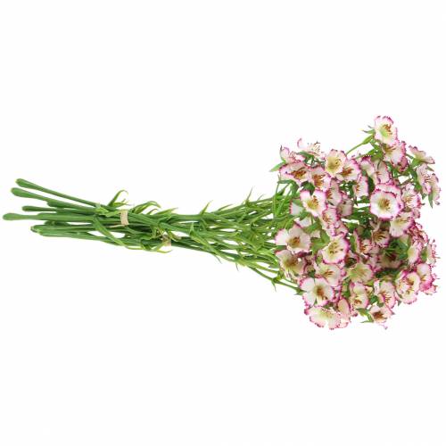 Floristik24 Bouquet d'oeillets blanc, violet 34cm