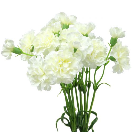 Floristik24 Oeillet blanc 64cm 4pcs