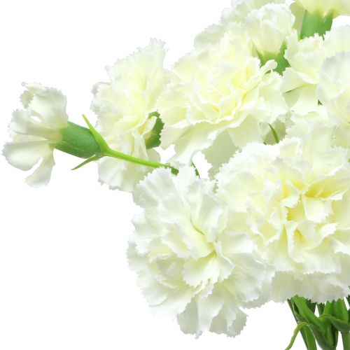 Floristik24 Oeillet blanc 64cm 4pcs