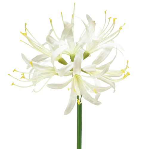 Nerine Guernsey Lily Fleur Artificielle Blanc Jaune Ø15cm L65cm