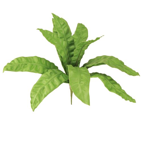 Article Fougère nid d'oiseau Plante verte artificielle 5,5×22 cm 2 pcs