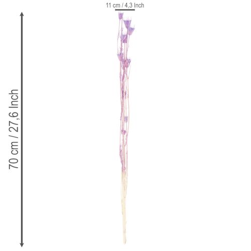 Article Bouquet de fleurs de nigelle séchées, pour la décoration du salon, crée une ambiance unique, 70 cm, 50 g