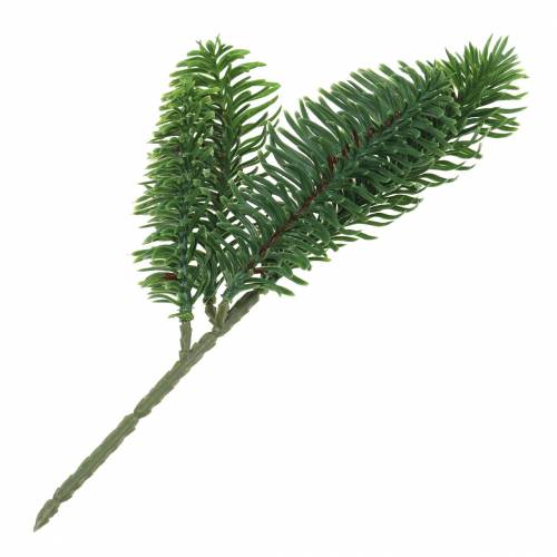 Floristik24 Nobilis branche de sapin artificiel vert 24cm 12pcs