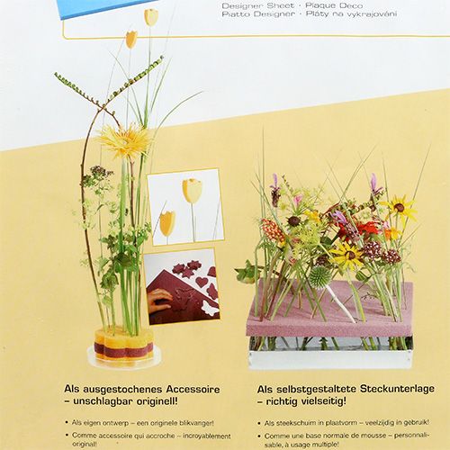 Floristik24 OASIS® Assiettes Design Ivoire Ivoire 3 pcs