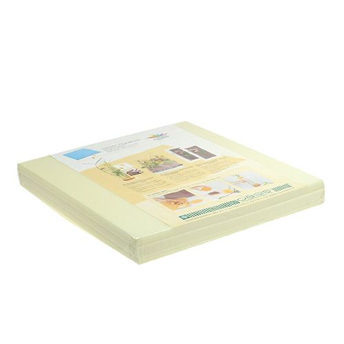 Floristik24 OASIS® Assiettes Design Ivoire Ivoire 3 pcs