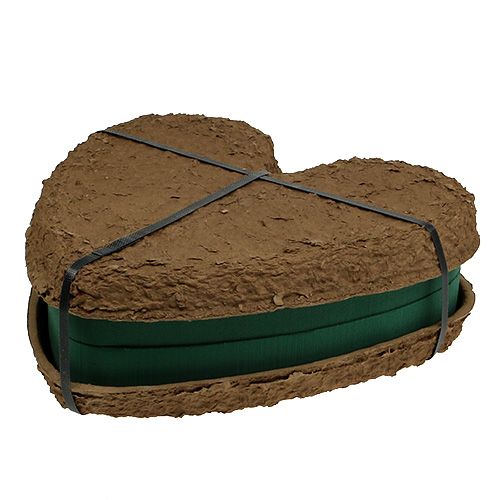 Article OASIS® Biolit® coeur grand 34cm 2 pcs