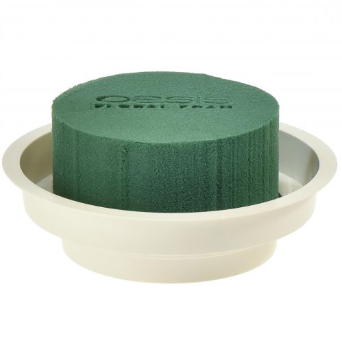 Floristik24 OASIS® Junior Complet 12 pcs
