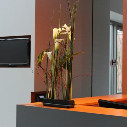 Article OASIS® Table Noire Déco Medi Mousse Florale 4 pcs