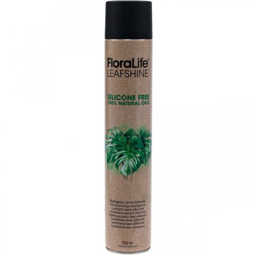 Article Oasis Floralife Leaf Shine Spray Éclat des Feuilles 750ml