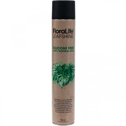 Floristik24 Oasis Floralife Leaf Shine Spray Éclat des Feuilles 750ml