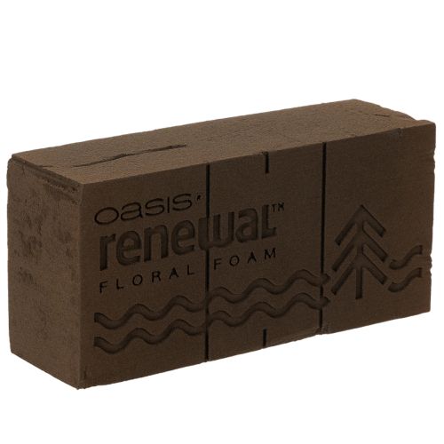 Mousse florale Oasis Renewal 23 cm, 1 brique acheter | Floristik24.be