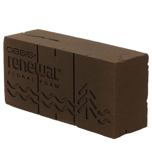 Mousse florale Oasis Renewal 23 cm, 1 brique | Floristik24.be