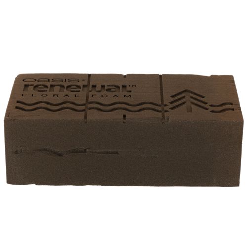 Mousse florale Oasis Renewal 23 cm, 1 brique | Floristik24.be