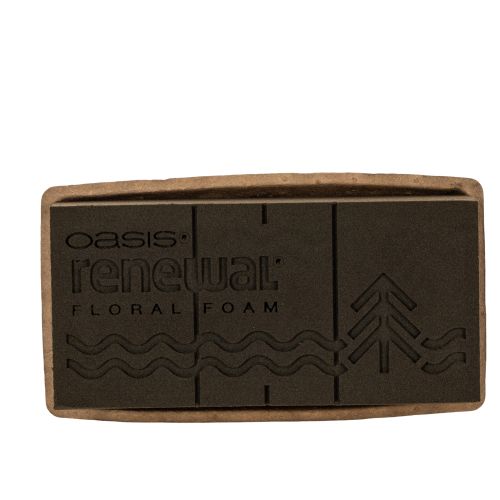 Brique de mousse florale 1/1 OASIS® Renewal® Biolit® 24 cm (2 pièces) acheter | Floristik24.be