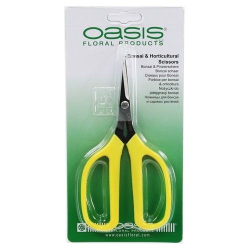 Article Ciseaux à bonsaï et pinces Oasis 15,5 cm