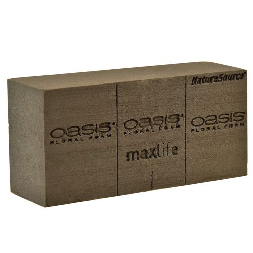 Floristik24 Oasis NatureSource Maxlife Mousse Florale Brique Marron 23×11×7.5cm 1 pièce