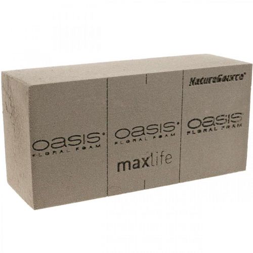 OASIS® BIOLIT® NatureSource brique mousse florale 23cm×11cm×7cm 10 pièces
