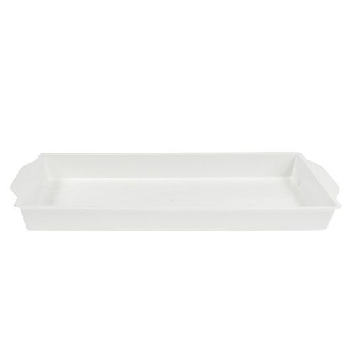 Floristik24 Plateau à prises OASIS® blanc 23cm x 11.5cm x 2.5cm 5 pièces