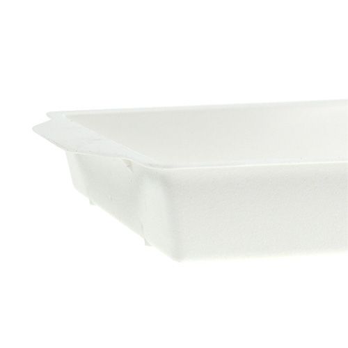 Article Bol enfichable OASIS® blanc 23 cm x 11,5 cm x 2,5 cm 5 pièces