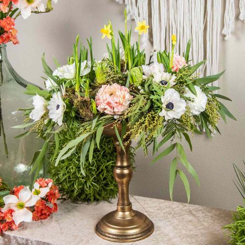 Article Oasis Anneau Mousse Floral Biolit Nature Source Marron 32cm 2 pcs