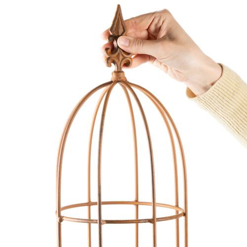 Article Treillis de jardin, support pour rosiers et autres plantes grimpantes, idéal pour l'aménagement paysager, 108 cm, lot de 2.