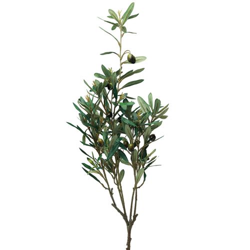 Floristik24 Branche d'olivier branche décorative artificielle décoration d'olivier 84cm