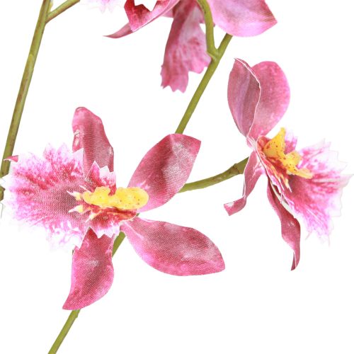 Article Décoration Orchidées Artificielles Oncidium Rose Violet 93cm 2pcs