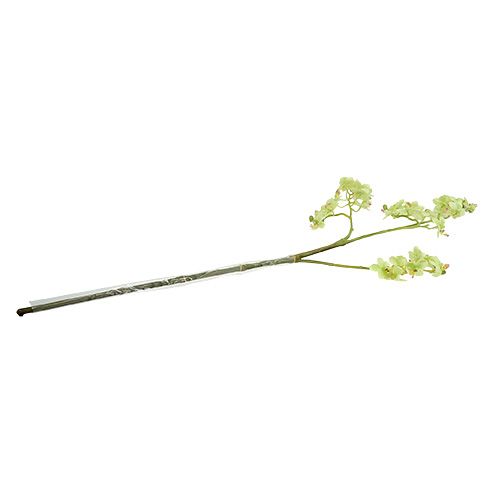 Floristik24 Orchidée 97cm vert clair
