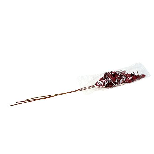 Floristik24 Orchidée Oncidium 70cm rouge foncé 3pcs