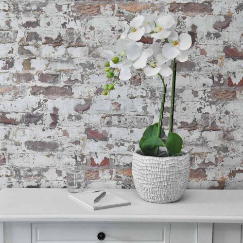 Floristik24 Orchidée Blanche sur bulbe de 65cm