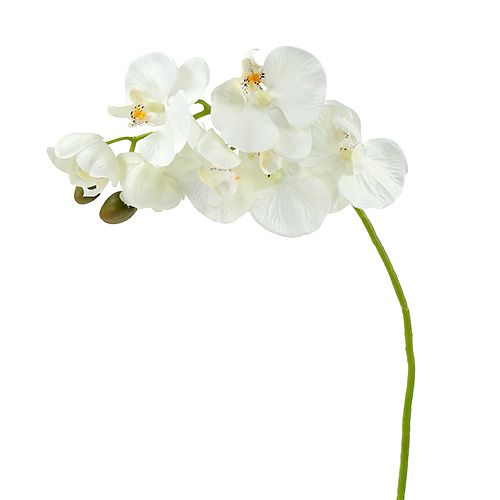 Floristik24 Orchidée blanche artificielle L73cm 4pcs