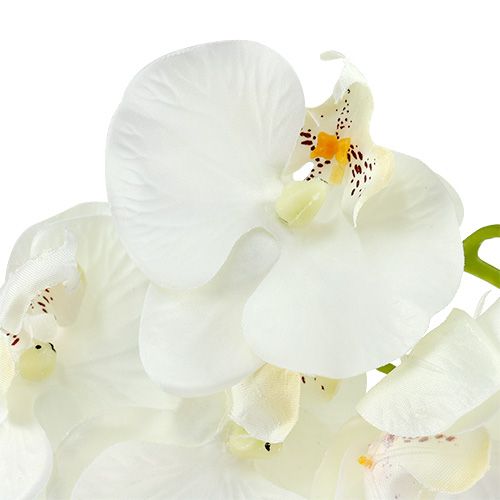 Floristik24 Orchidée blanche artificielle L73cm 4pcs