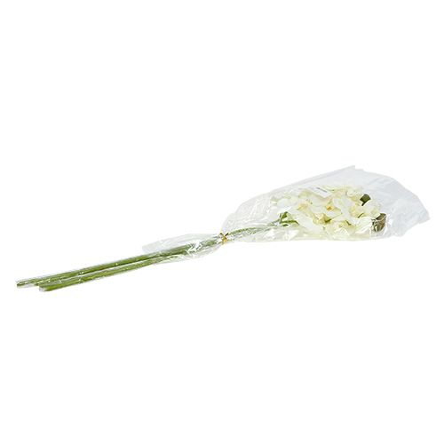 Floristik24 Orchidée blanche artificielle L73cm 4pcs