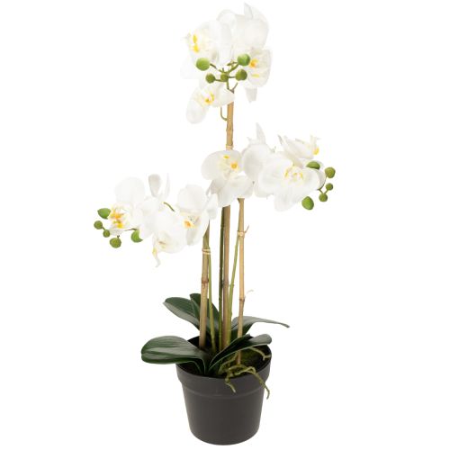 Floristik24 Orchidée artificielle en pot pour une ambiance harmonieuse, blanche, 60 cm