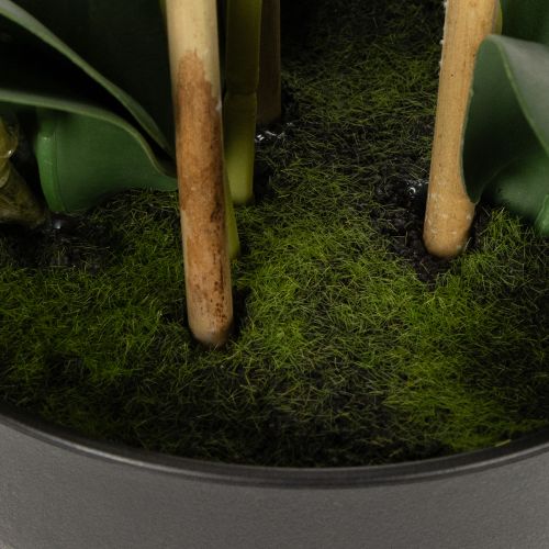 Article Orchidée artificielle en pot pour une ambiance harmonieuse, blanche, 60 cm