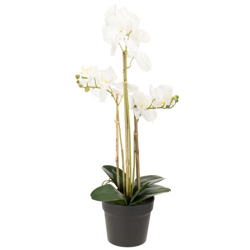 Article Orchidée artificielle en pot pour une ambiance harmonieuse, blanche, 60 cm