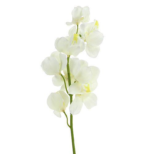 Crème d&#39;orchidée artificielle 50cm 6pcs