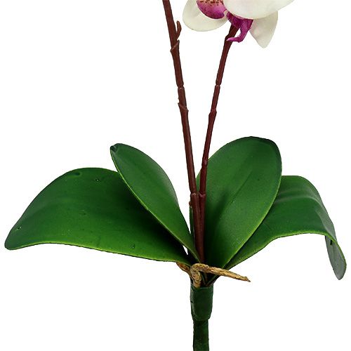 Floristik24 Orchidée à 2 branches 60cm blanc-rose