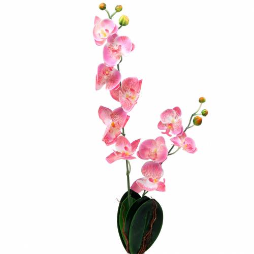 Floristik24 Orchidée Phalaenopsis rose artificielle 60cm