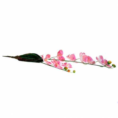 Floristik24 Orchidée Phalaenopsis rose artificielle 60cm
