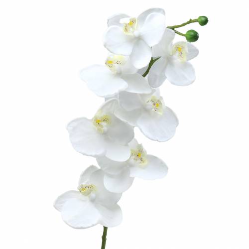 Article Orchidée blanche 77cm