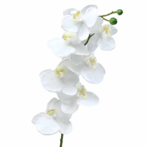 Article Orchidée artificielle fleur artificielle blanche Ø6,5-8cm 77cm