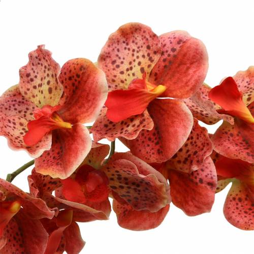 Article Orchidée artificielle Phaelaenopsis Rouge, Orange H81cm