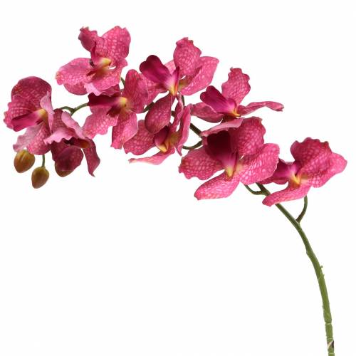 Branche d&#39;orchidée artificielle Rose H83cm